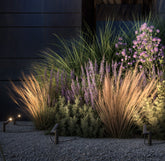 Klewe x Zafferano - Axent + Elektron - Klewe x Zafferano | Zafferano