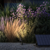 Klewe x Zafferano - Elektron - Klewe x Zafferano | Zafferano