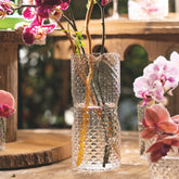 Isolano Carafe - Isolano | Zafferano