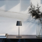 Poldina Pro Mini - Dark Gray | Zafferano