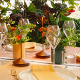 Pina Pro - Sage | Zafferano