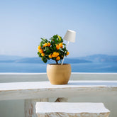 Poldina Pro Peg Magnetic - White | Zafferano