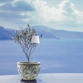 Poldina Pro Peg Magnetic - White | Zafferano