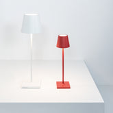 <p>Poldina Pro</p> | Zafferano