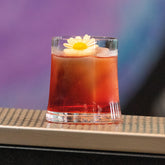 Sam Collection Old Fashioned Tumbler (Set of 4) - Tumblers & Barware | Zafferano