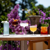 Veneziano Mixology Coupe (Set of 4) - Clear | Zafferano
