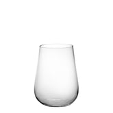 Scintille Tumbler (Set of 2) - Tumblers & Bar | Zafferano