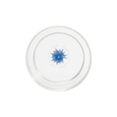 Teca Mare Tumbler (Set of 6) - Teca Mare | Zafferano