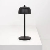 <p>Theta Pro</p> | Zafferano