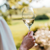 Ultralight Sparkling Wines (Set of 2) - Default Title | Zafferano