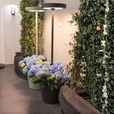 - Zafferano America | Official Website