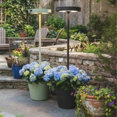 - Zafferano America | Official Website