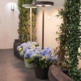 - Zafferano America | Official Website