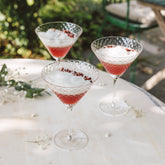 Veneziano Mixology Martini (Set of 4) - Default Title | Zafferano