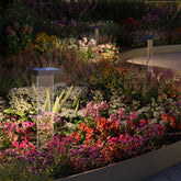 Klewe x Zafferano - Scotty - Anthracite | Zafferano