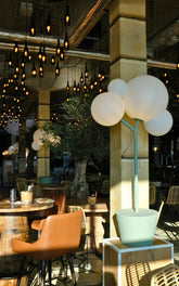 <p>Riviera italiana</p> | Zafferano