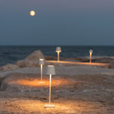 Poldina Pro Micro - Sand | Zafferano