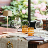 Ofelia Pro - Sage | Zafferano