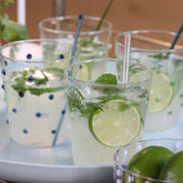 Party Tumbler (Set of 6) - Tableware Collection | Zafferano