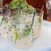 Party Tumbler (Set of 6) - White Dots | Zafferano