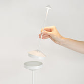 <p>Pina Pro</p> | Zafferano