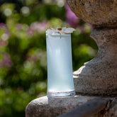 Veneziano Mixology High Ball (Set of 4) - Clear | Zafferano
