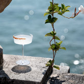 Veneziano Mixology Coupe (Set of 4) - Clear | Zafferano