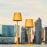 Skyline Shades by Kickie Chudikova - Chrysler / Black | Zafferano