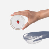 Teca Frutta Tumbler (Set of 6) - Pears | Zafferano