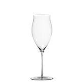 Ultralight Sparkling Wines (Set of 2) - Stemware | Zafferano