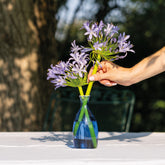 Un Fiore Vase 35 - New Tableware | Zafferano