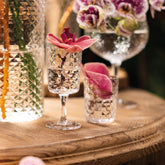 Veneziano Mixology Shot 80 (Set of 4) - Default Title | Zafferano